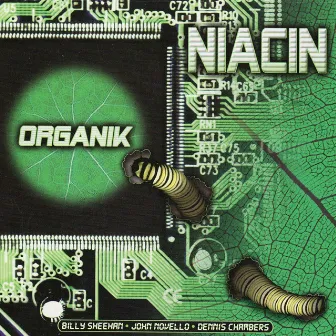 Organik by Niacin