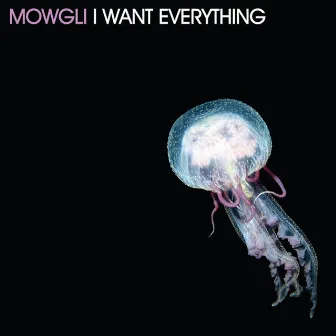 I Want Everything by Mowgli