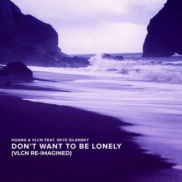 Don't Want To Be Lonely - VLCN Re-Imagined