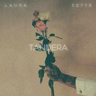 Tandera by Laura Sette