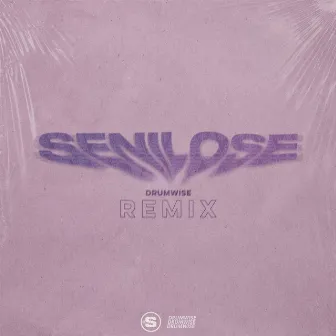 SeniLose (DRUMWISE Remix) by DRUMWISE