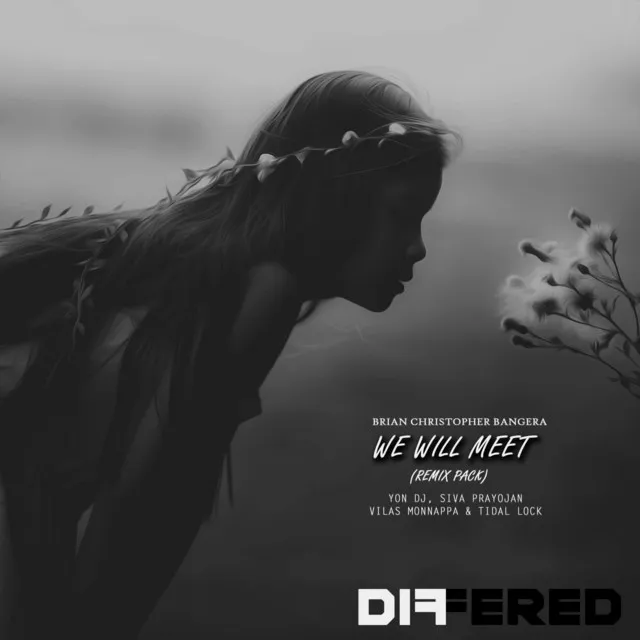 We Will Meet - Vilas Monnappa Remix