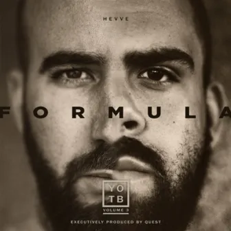 Year of the Bangers, Vol. 3: Formula by Hevve