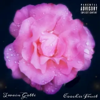 Koochie Fruit by Twain Gotti