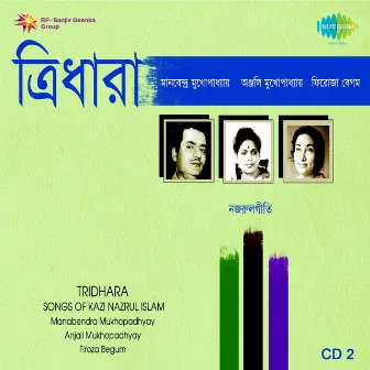 Tridhara Anjali Mukherjee, Vol. 2 by Anjali Mukherjee