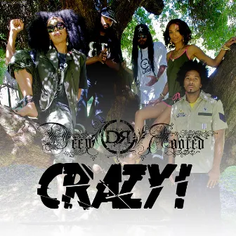 Crazy by Deep Rooted