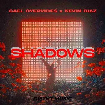 Shadows by Kevin Diazz