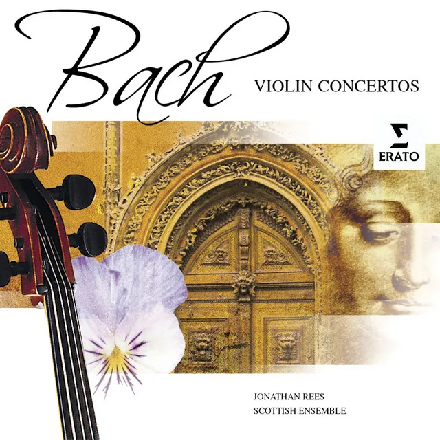 Bach, JS: Concerto for Two Violins in D Minor, BWV 1043: II. Largo ma non tanto