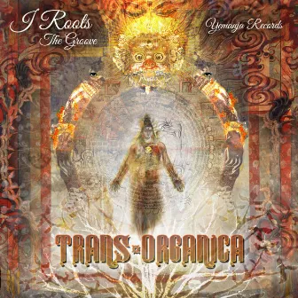 The Groove (Trans-Organica) by I Roots