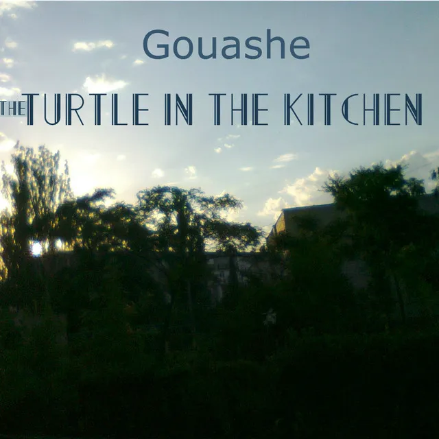 The Turtle in the Kitchen