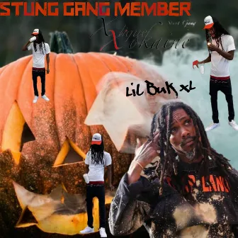 Stunt Gang Member by Lil Buk XL