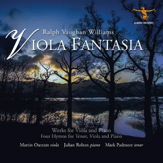 Viola Fantasia by Martin Outram