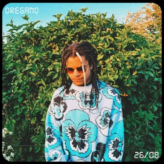 Oregano by Zaddy