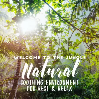 Welcome to the Jungle. Natural & Soothing Enviroment for Rest & Relax by Nature Soothing Melodies