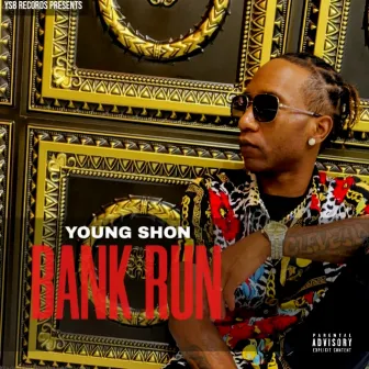 Bank Run by Young Shon