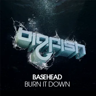 Burn It Down by Basehead