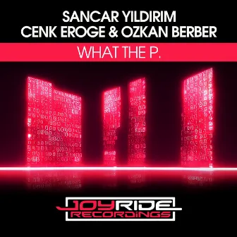 What the P. by Sancar Yildirim