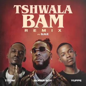 Tshwala Bam (feat. S.N.E) [Remix] by TitoM