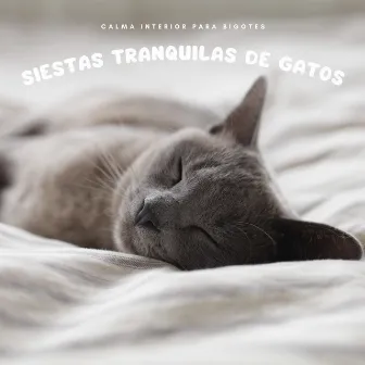 Siestas Tranquilas De Gatos: Calma Interior Para Bigotes by Algo de Música