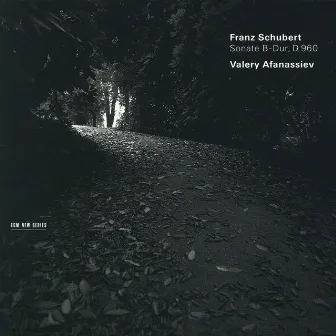 Schubert: Sonata in B-Flat, D960 by Valery Afanassiev