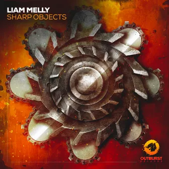 Sharp Objects by Liam Melly