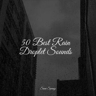 50 Best Rain Droplet Sounds by Lucid Dreaming Music