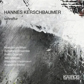 Hannes Kerschbaumer: Schraffur by Hannes Kerschbaumer