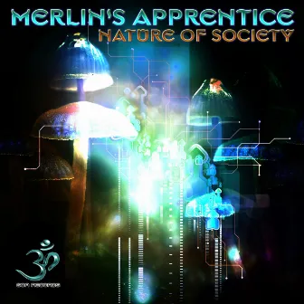 Nature of Society by Merlin's Apprentice