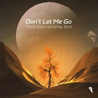 Don't Let Me Go by Malik Bash