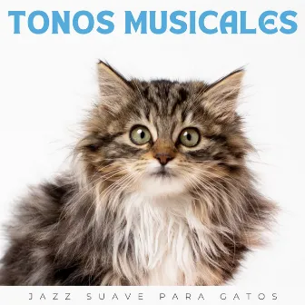 Tonos Musicales: Jazz Suave Para Gatos by 