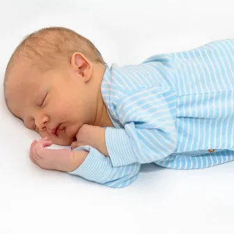 Dreamy Nights: Baby Sleep Solutions Unveiled by Perfect Sleep