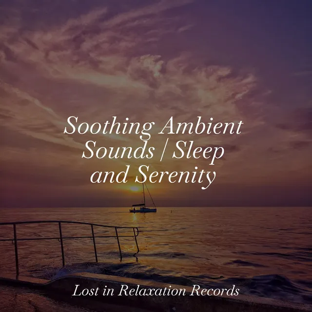 Soothing Ambient Sounds | Sleep and Serenity