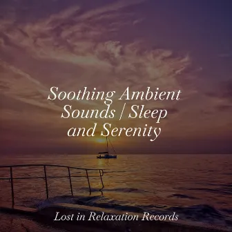 Soothing Ambient Sounds | Sleep and Serenity by Nursery Rhymes Club