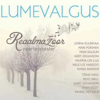 Lumevalgus by Noorteorkester Reaalmažoor