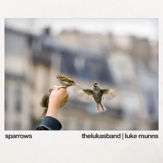 Sparrows by Luke Munns