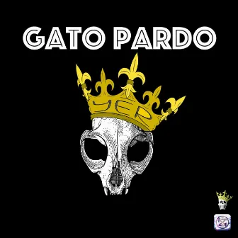 Gato Pardo by Yer