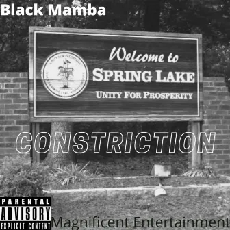 Constriction by Black Mamba