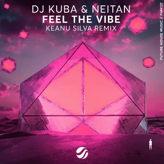 Feel The Vibe (Keanu Silva Remix) by DJ Kuba