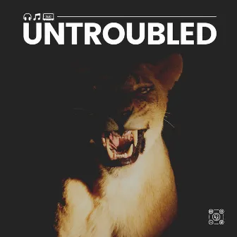 Untroubled by Unknown Artist