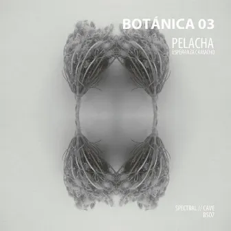 Botánica 03 by Pelacha