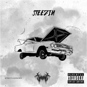 STEEZIN by Swampz