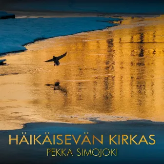 Häikäisevän kirkas by Pekka Simojoki