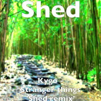 Kygo - Stranger things 'Shed remix' by Shed