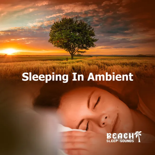 Sleeping In Ambient