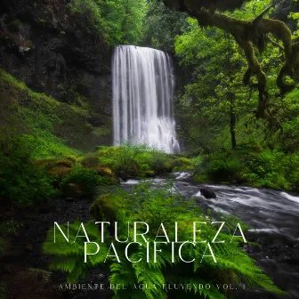 Naturaleza Pacífica: Ambiente Del Agua Fluyendo Vol. 1 by El Proyecto Naturaleza