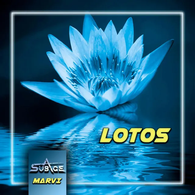 Lotos