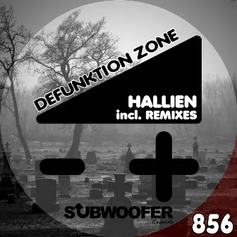 Defunktion Zone (Remixes) by Hallien