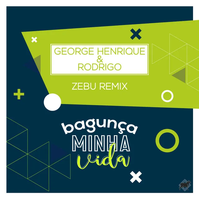 Bagunça Minha Vida - Remix