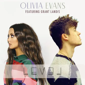 Level by Olivia Evans