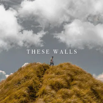 These Walls by Peej